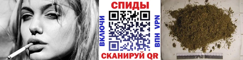 мориарти Telegram  закладка  Ершов  Бутират буратино 