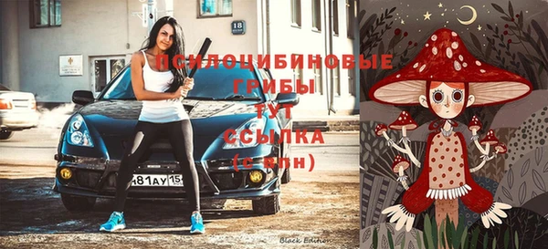 крисы Горнозаводск