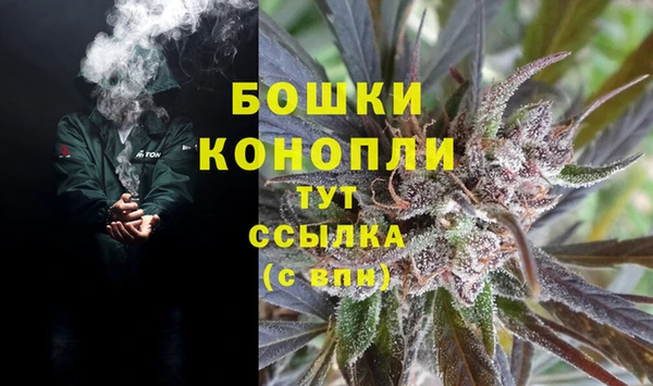 крисы Горнозаводск