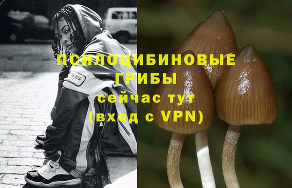 крисы Горнозаводск