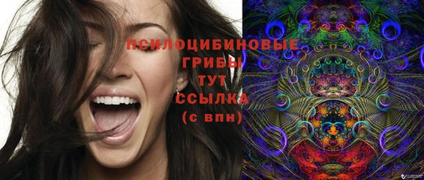 крисы Горнозаводск