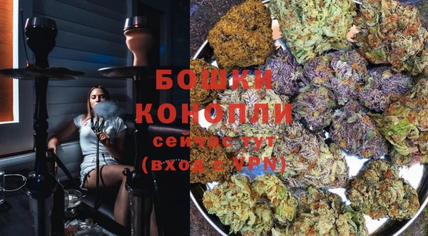 гидра Вяземский