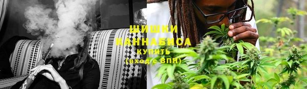 крисы Горнозаводск