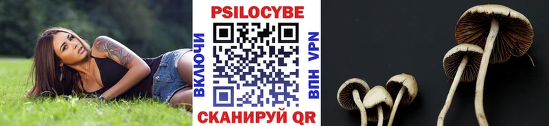 маркетплейс наркотические препараты KRAKEN онион Галлюциногенные грибы Magic Shrooms Ершов дарнет шоп