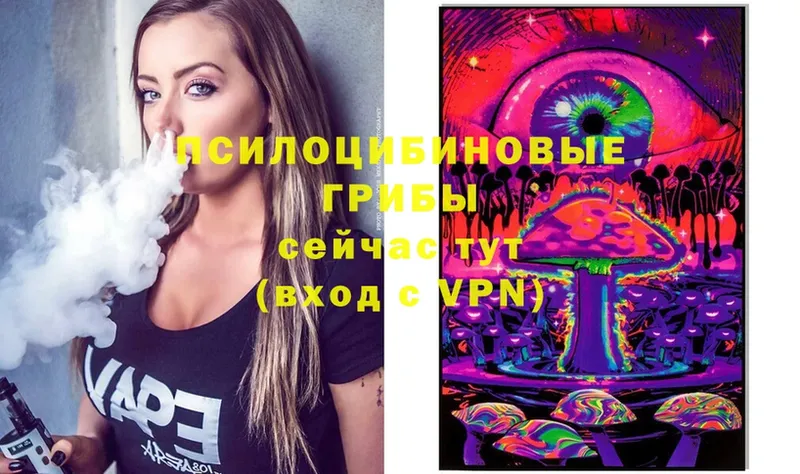 Псилоцибиновые грибы Psilocybine cubensis  Ершов 